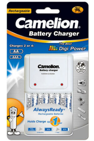 Smart overnight charger, AC 100-240V, TUV plug, black color